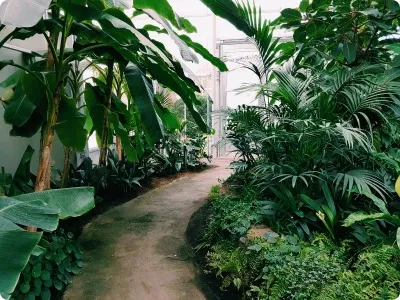 Smith Landscape Design gallery image