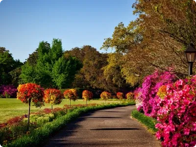 Smith Landscape Design gallery image