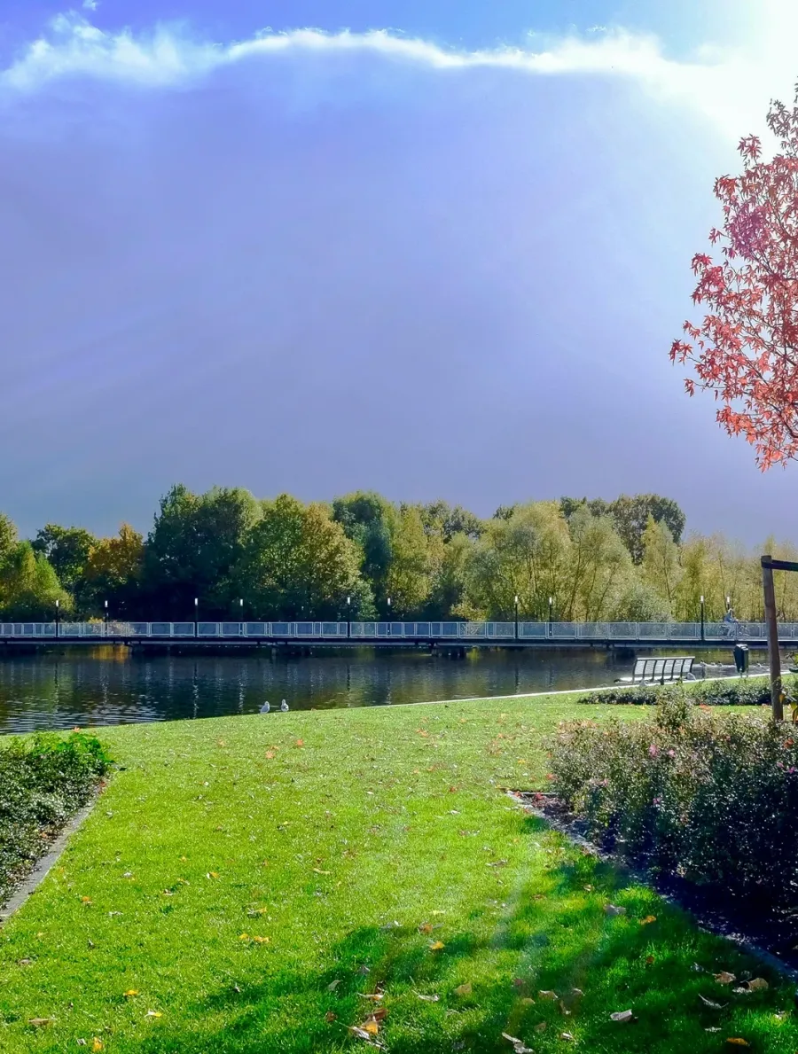 park with bench and landscaping